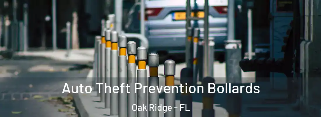 Auto Theft Prevention Bollards Oak Ridge - FL
