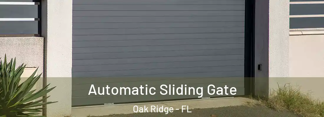  Automatic Sliding Gate Oak Ridge - FL