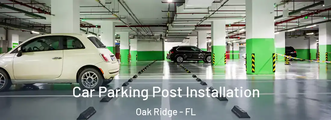  Car Parking Post Installation Oak Ridge - FL