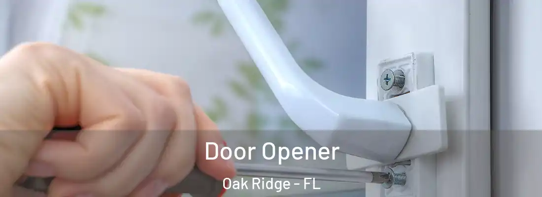 Door Opener Oak Ridge - FL
