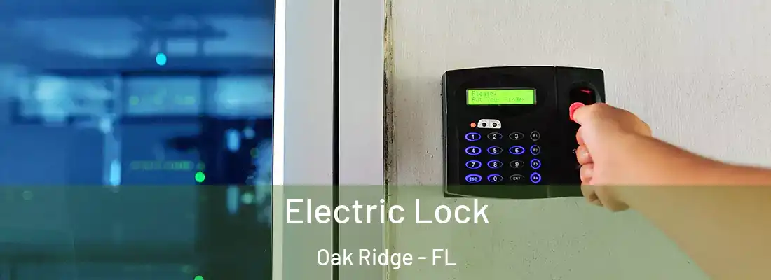 Electric Lock Oak Ridge - FL