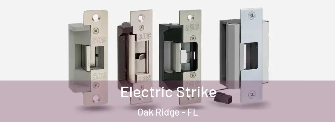 Electric Strike Oak Ridge - FL