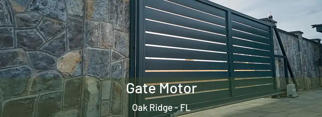 Gate Motor Oak Ridge - FL