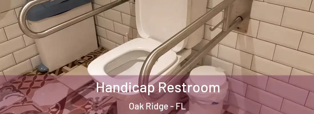 Handicap Restroom Oak Ridge - FL