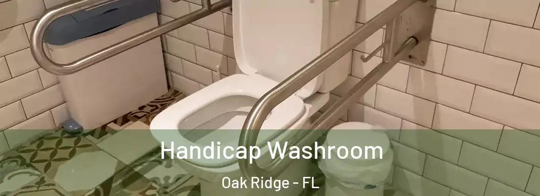 Handicap Washroom Oak Ridge - FL