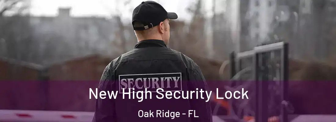  New High Security Lock Oak Ridge - FL
