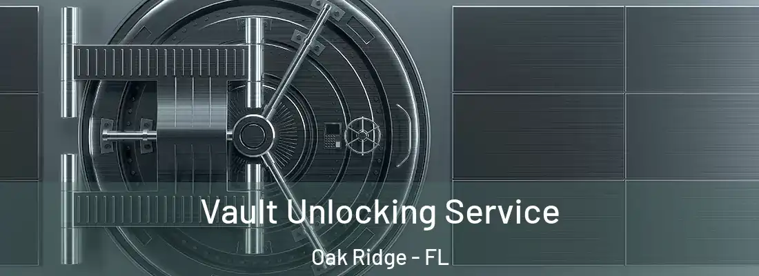  Vault Unlocking Service Oak Ridge - FL